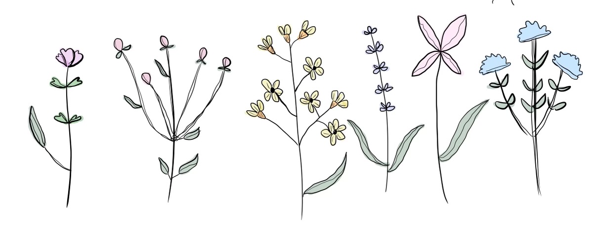 Hand-drawn yellow, lavender, and pink flowers by Hien
