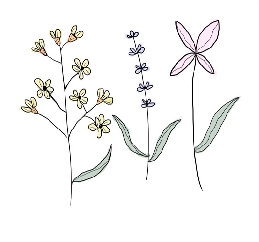 A trio of hand-drawn spring flowers by Hien